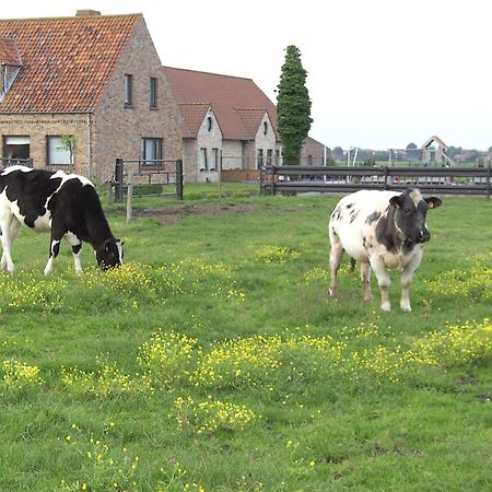 'T Vossenerf De Haan Exterior foto