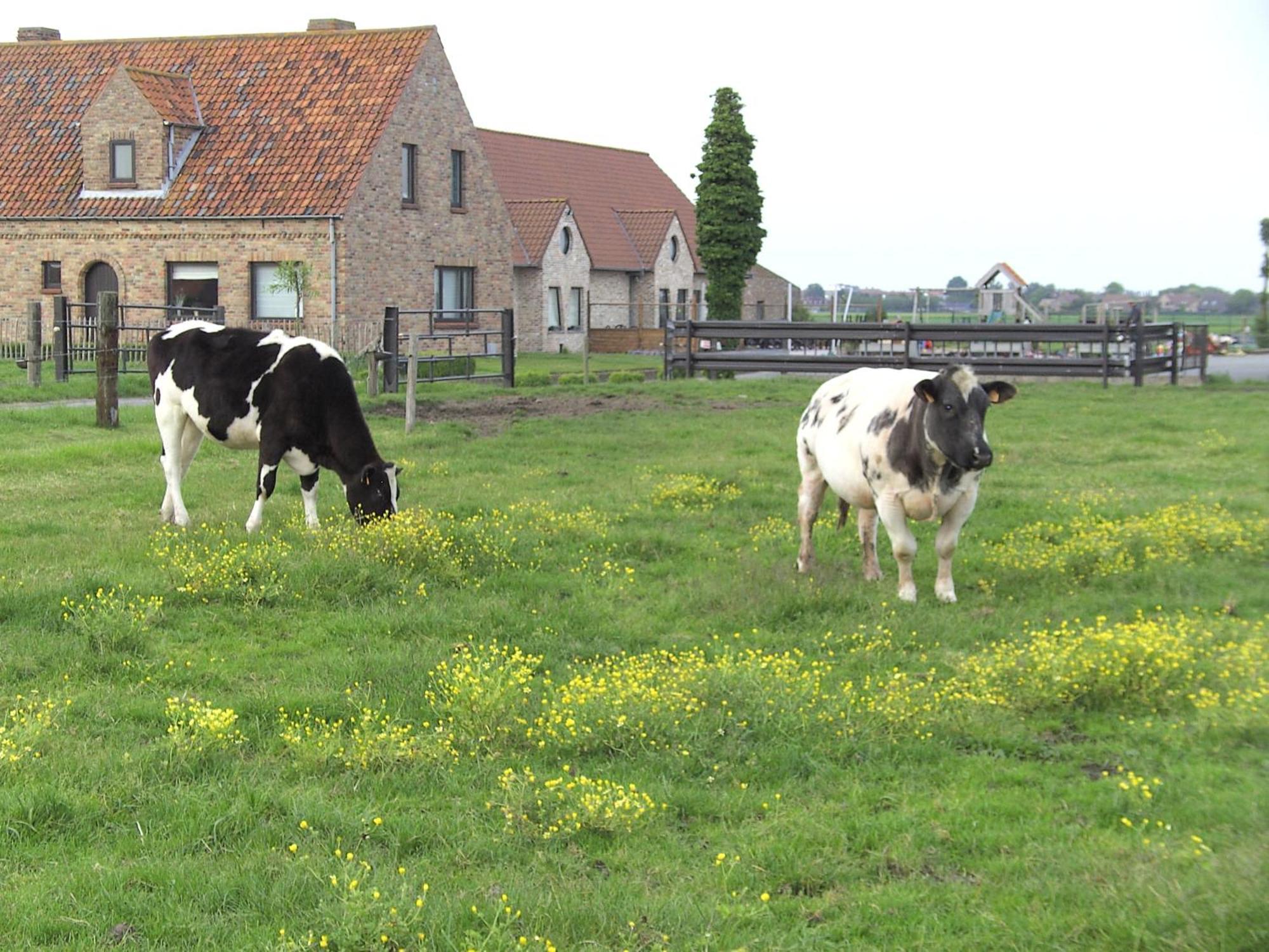 'T Vossenerf De Haan Exterior foto
